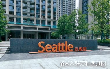 格米地產(chǎn)畫冊